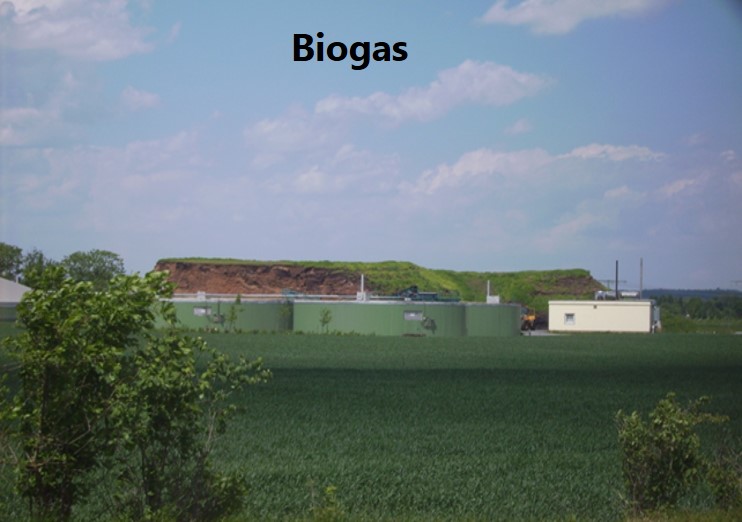 Biogas